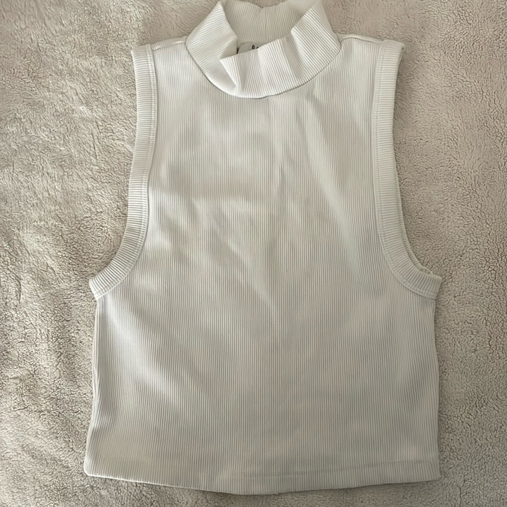 Aritzia Babaton Sleeveless Turtle Neck Ribbed Top